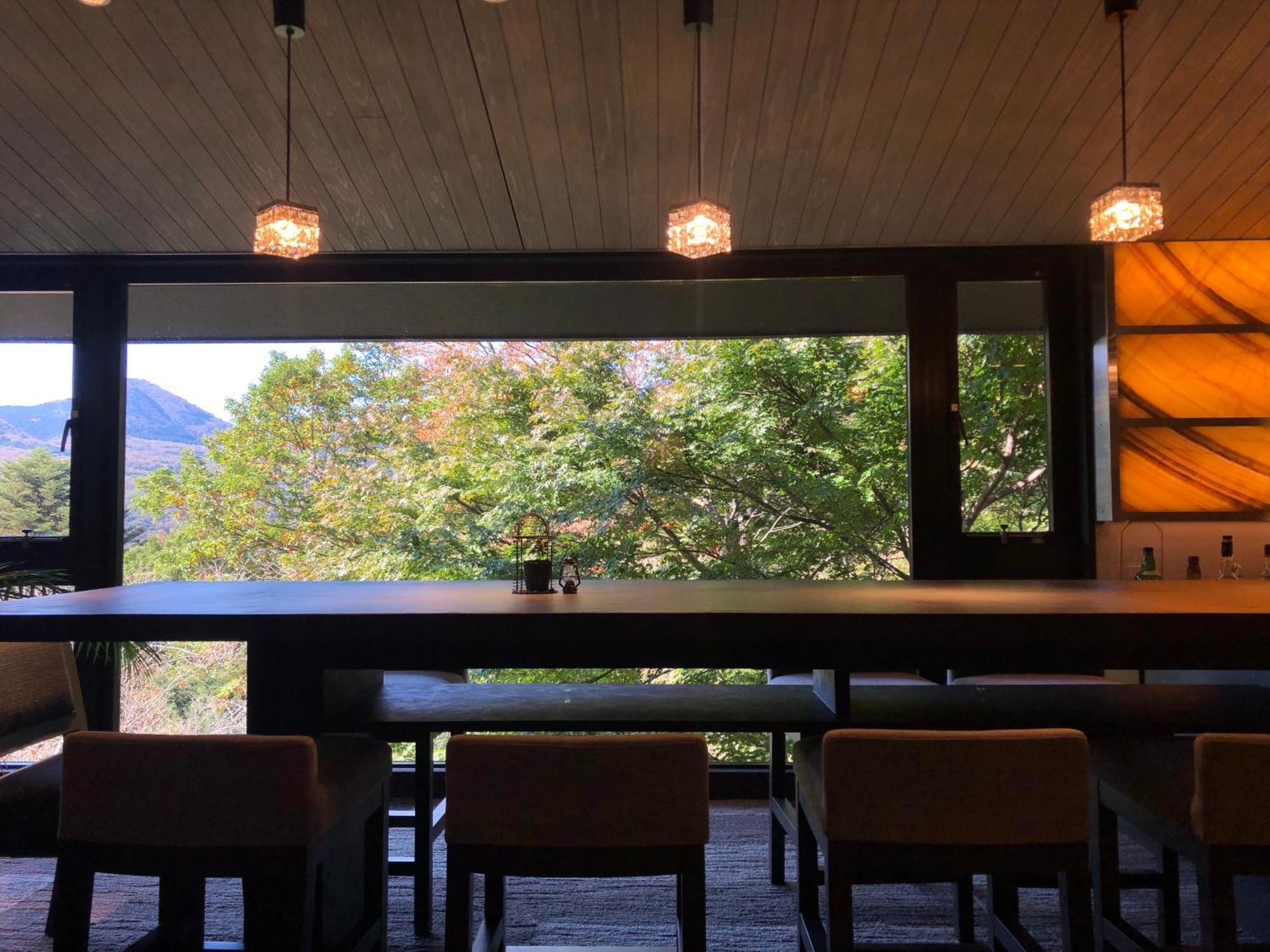 Hakone Elecasa Hotel And Spa Extérieur photo